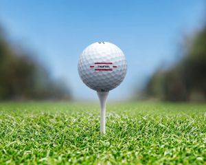 Quelles sont les meilleures alternatives à une balle de golf dans un comparatif ?