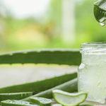 Les 4 meilleurs aloe vera 2024 - aloe vera test & comparatif