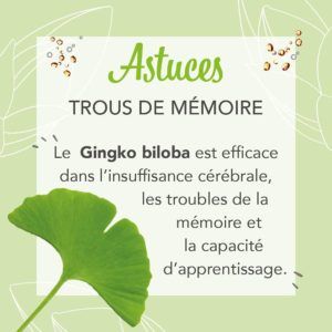 Quels sont les plus grands avantages d'un ginkgo biloba dans un comparatif ?