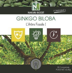 Qu'est-ce qu'un ginkgo biloba exactement dans un comparatif?