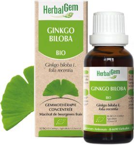 Le type de ginkgo biloba Le ginkgo biloba en teinture mère