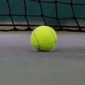 Quels types de balles de tennis existe-t-il ?