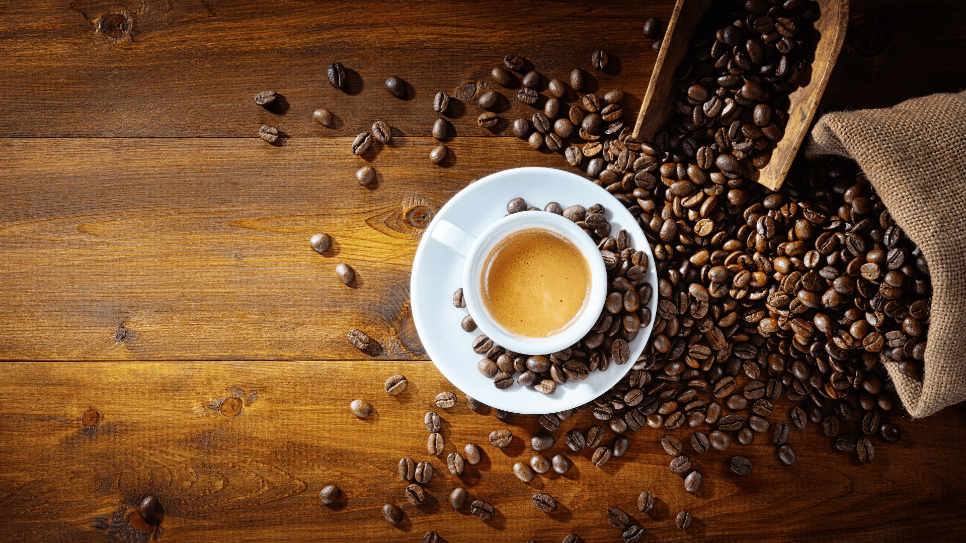 Unterschiedlichkeiten zwischen Koffein und Thein
