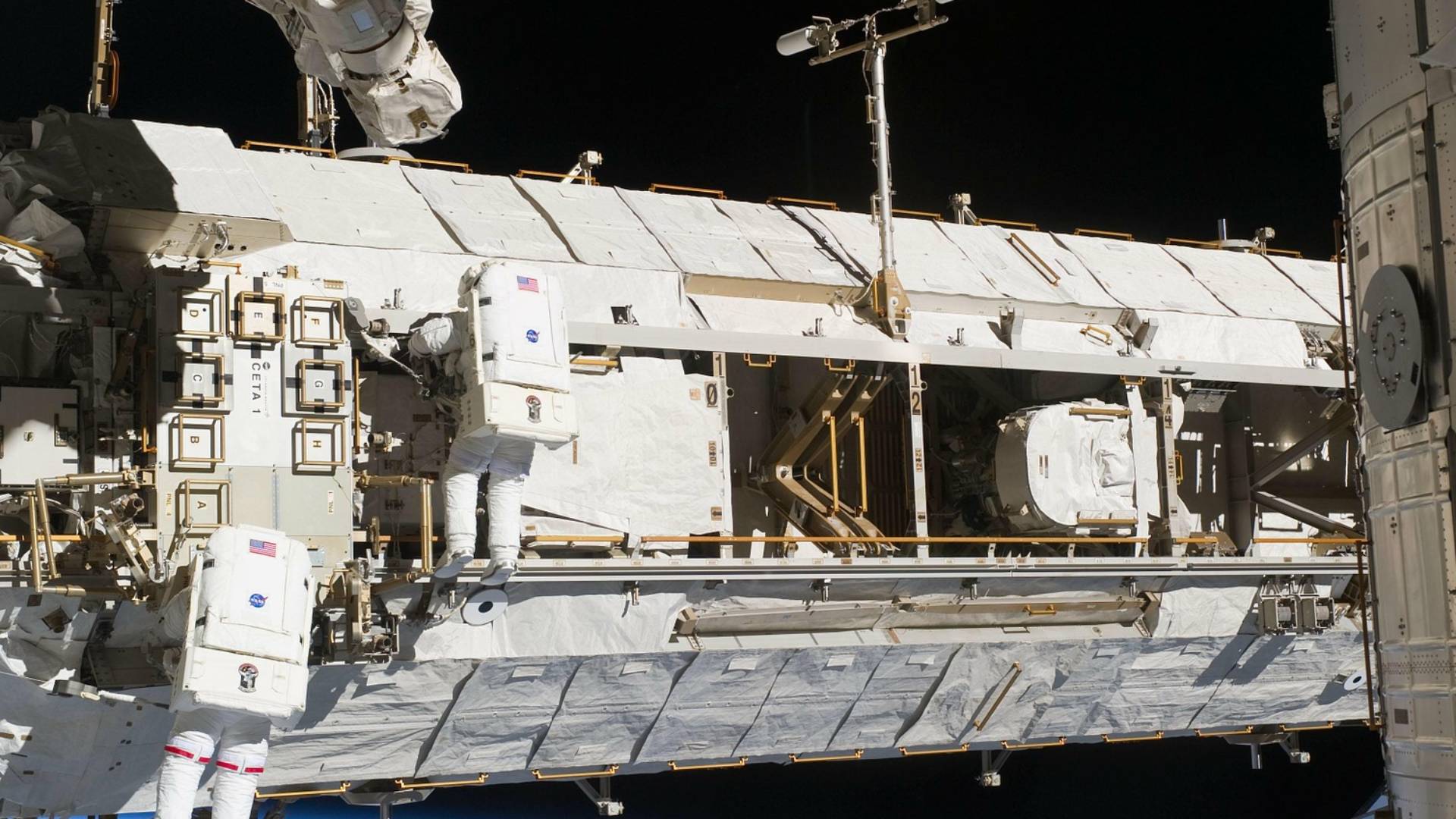 Eine neues Bakterium in der ISS entdeckt