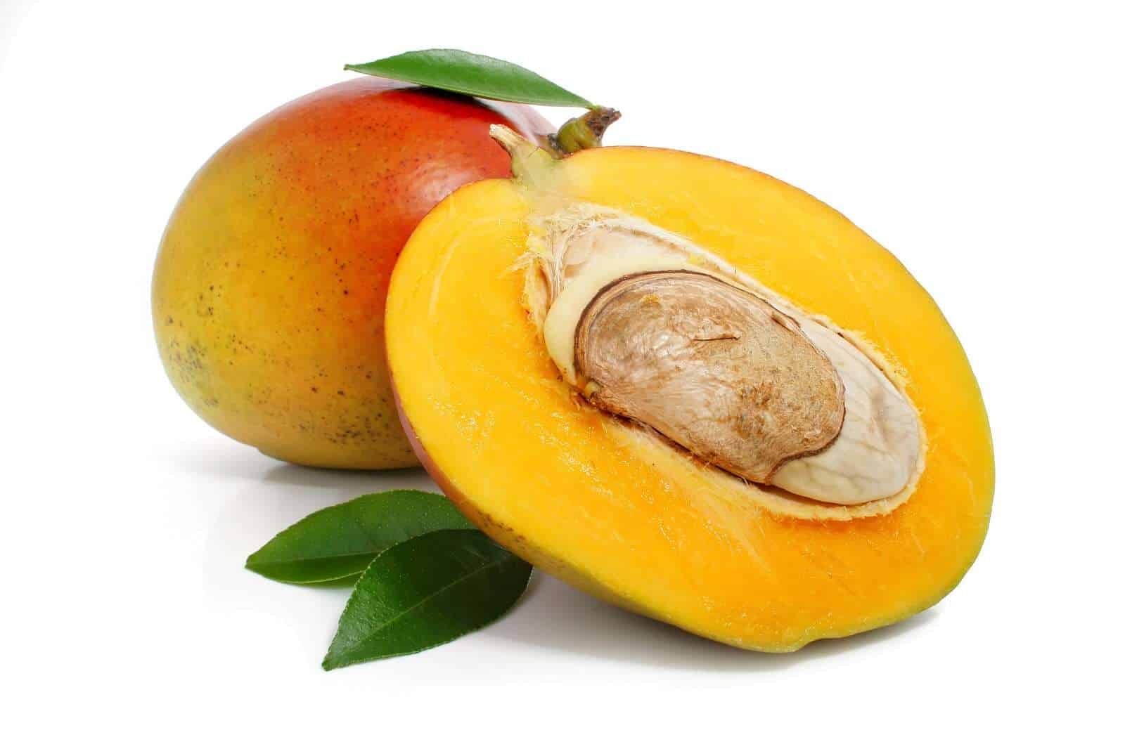 mango frucht kern - Wie kann ein Mangobaum aus dem Kern heraus gewonnen werden?