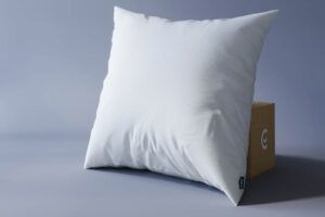 Protège Oreiller : Large choix de sous taie oreiller à petit prix AlpesBlanc