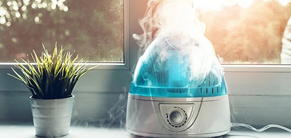 Levoit Humidificateur d'air, Avez-vous besoin de l'humidificateur d'air?  Est-il nécessaire dans votre vie?, By Levoit France